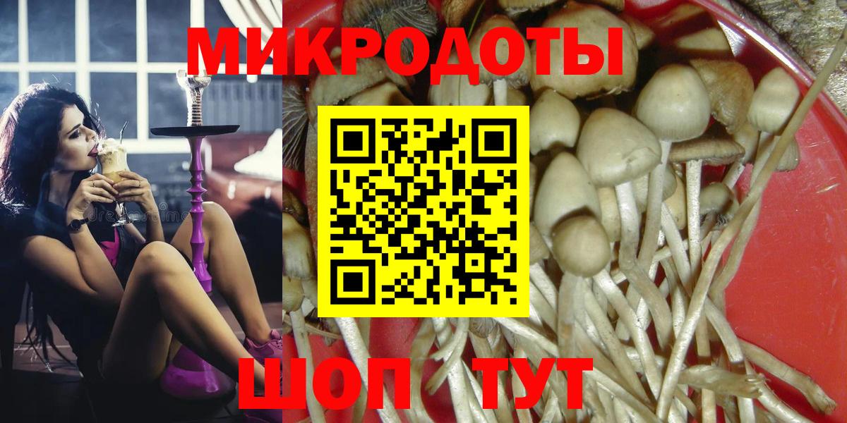 Галлюциногенные грибы Magic Shrooms Артём