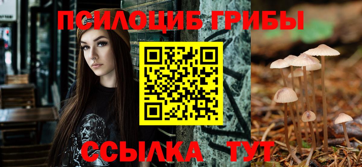 Псилоцибиновые грибы мицелий  Вход с VPN  Артём 